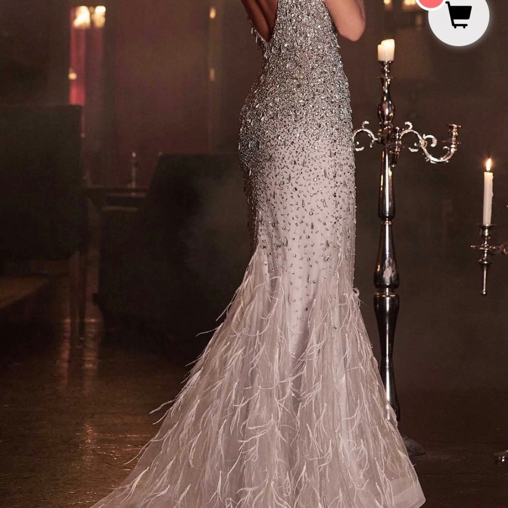 Jewel-Embellished Evening Gown with Ostrich Feathers